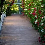 Apartament Banus - Daisy Playas Del Duque Banus Marbella