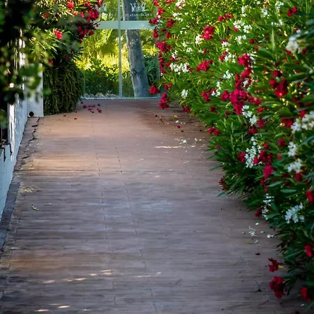 Apartment Banus - Daisy Playas Del Duque Banus Marbella