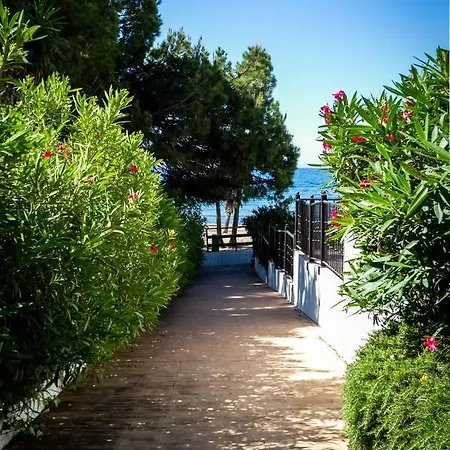 Banus - Daisy Playas Del Duque Banús * Marbella